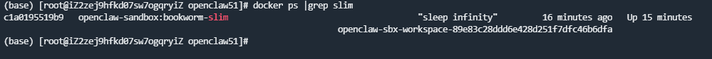 OpenClaw 沙箱环境运行实践：Docker 部署下如何动态创建 Sandbox
