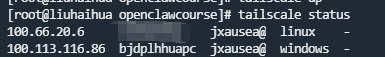 不用公网 IP，把 Windows 和 Linux 服务器放进同一个局域网：Tailscale 组网实战